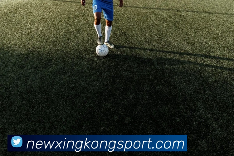 星空足球平台生态图